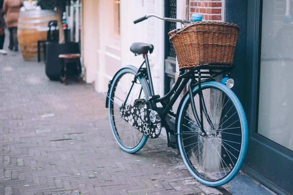 Porch cruiser, fresh daisies