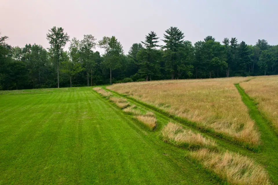 Lawn mowing & yard help